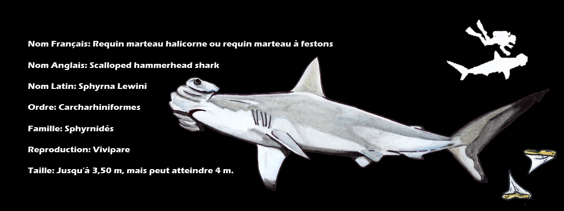 rencontre