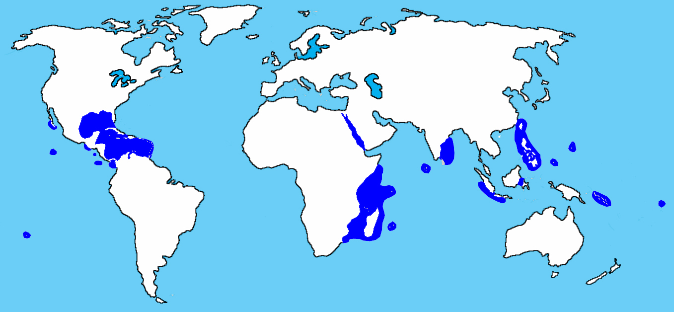 rencontre pacifique atlantique