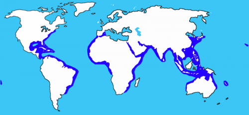 repartition-marteau1