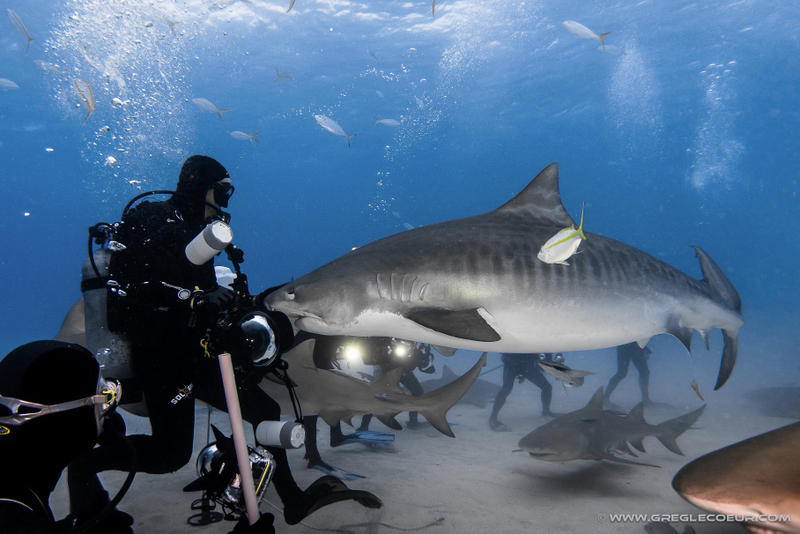 Rencontre 1