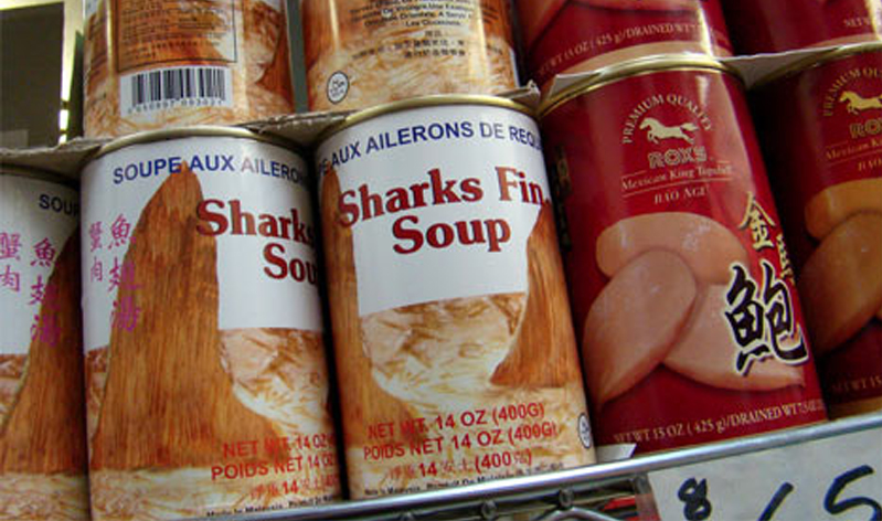 boite_soupe.jpg