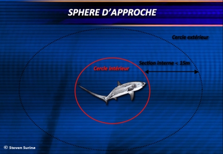 rencontre entre plongeur