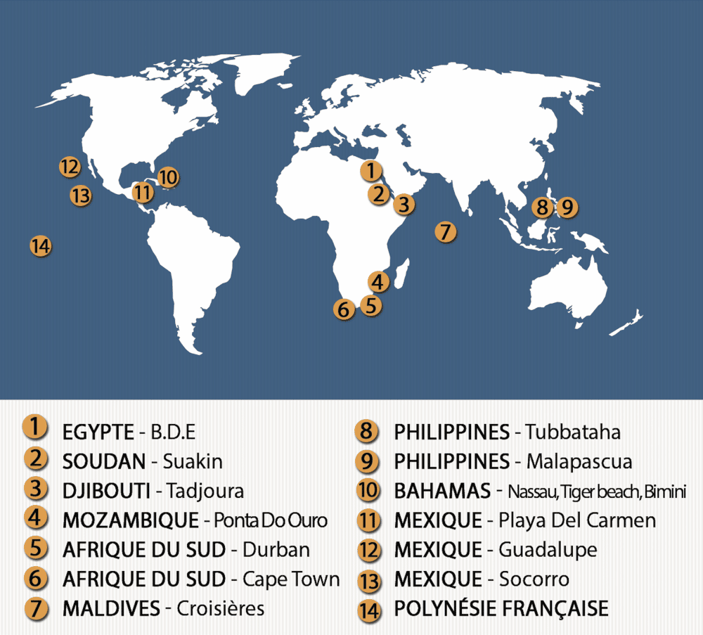 destination map carte egypte soudan djibouti mozambique afrique du sud maldive philippines bahamas