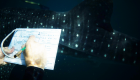 whale shark close observation