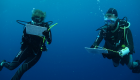 workshop diving course