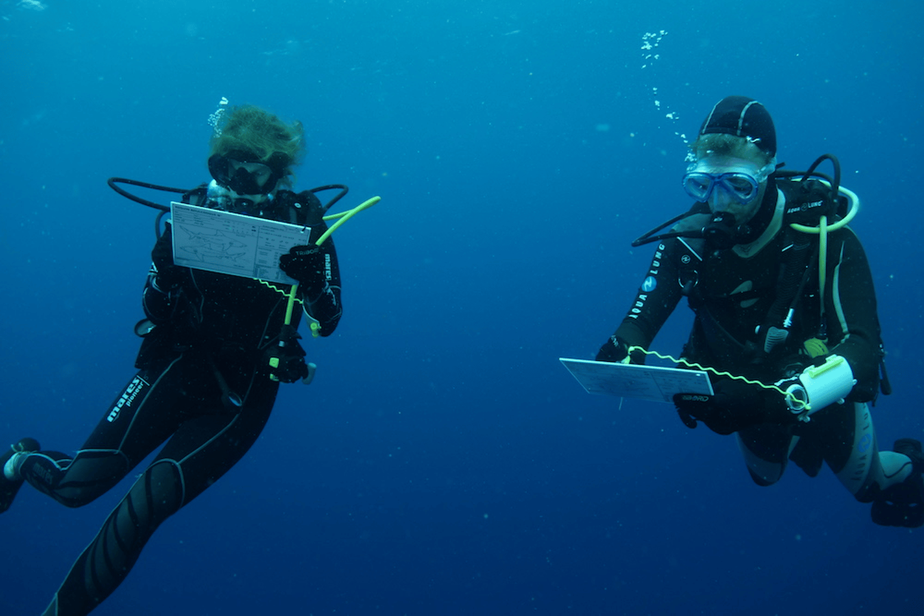workshop diving course