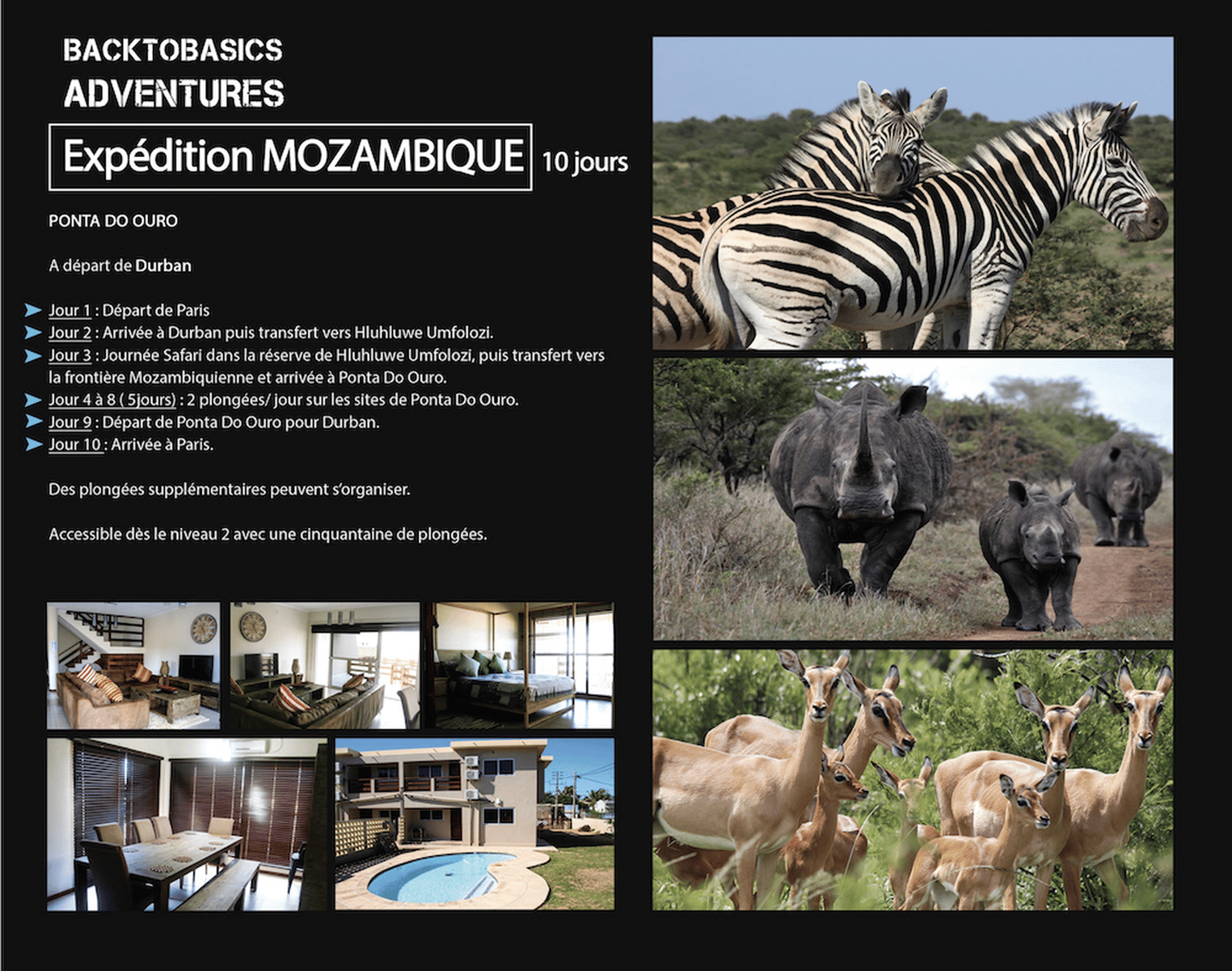 Mozambique expedition programme