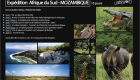 Mozambique expedition safari