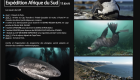 Afrique sud expedition safari