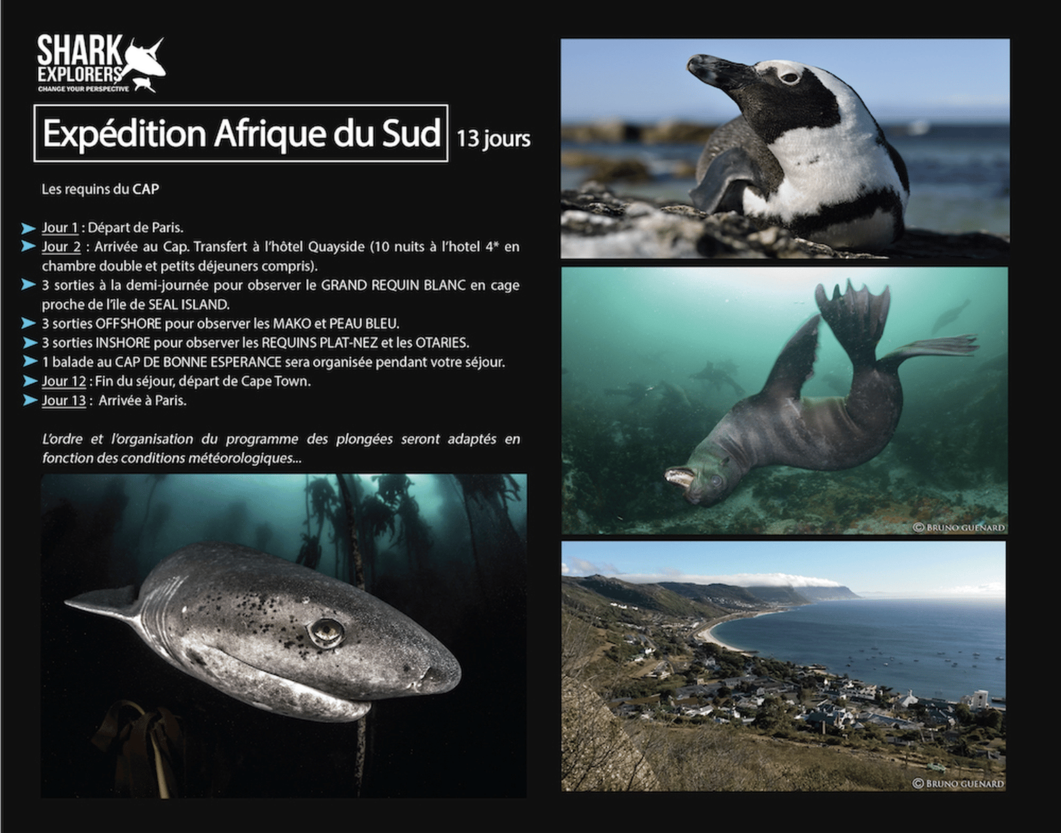 Afrique sud expedition safari