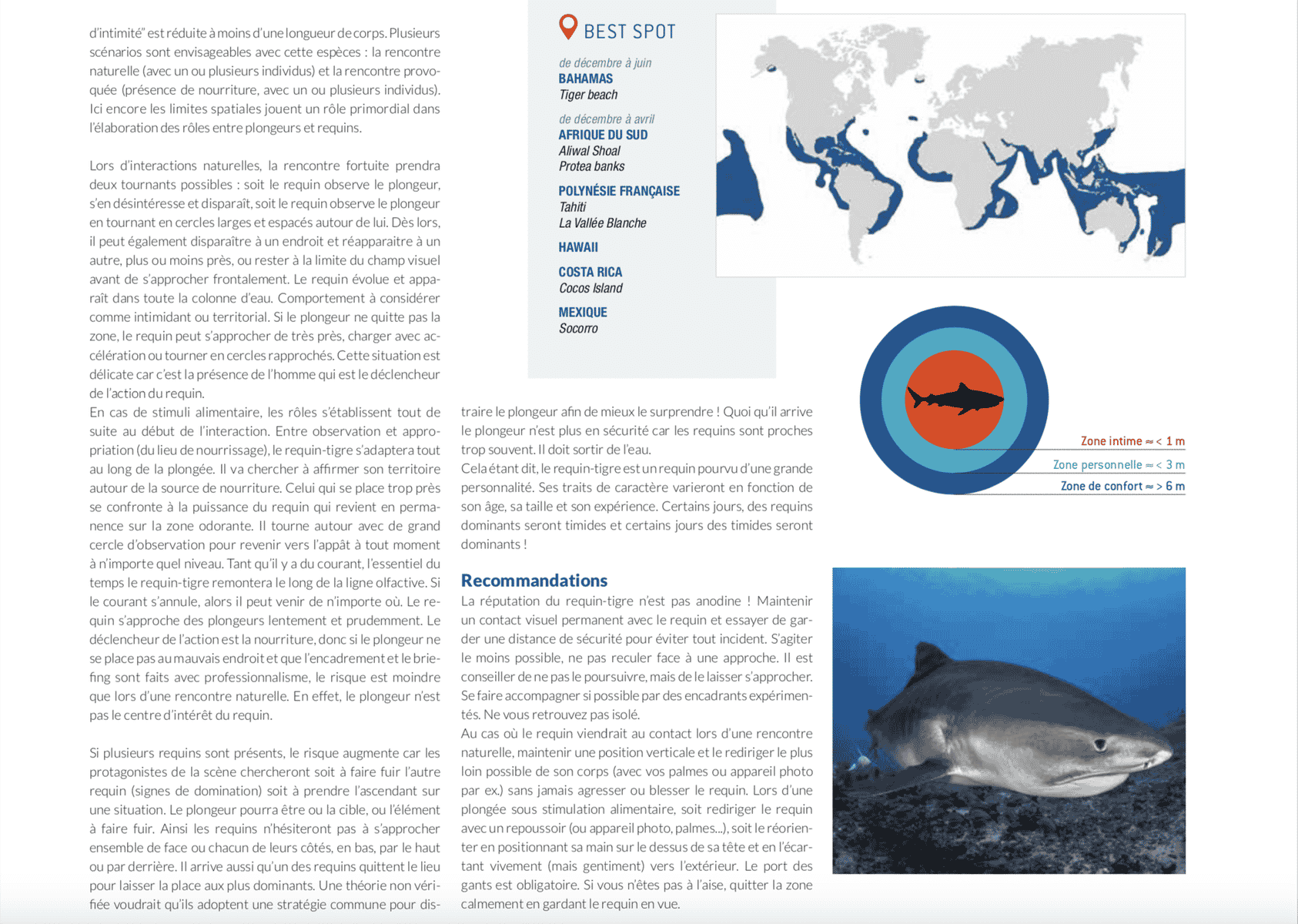 fiche requin tigre best spot