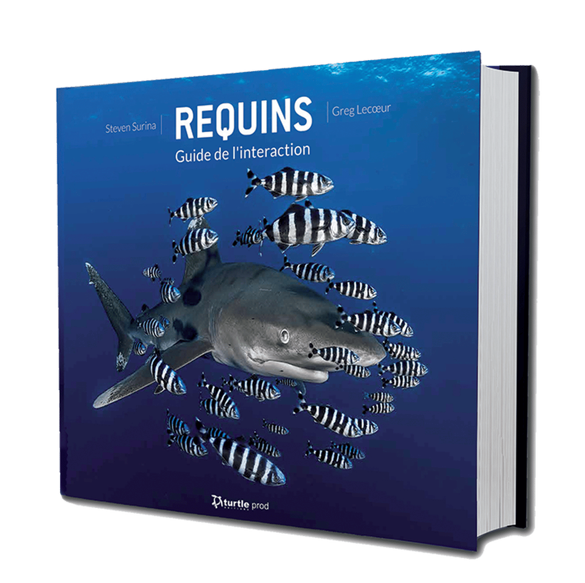 boutique livre requins surina