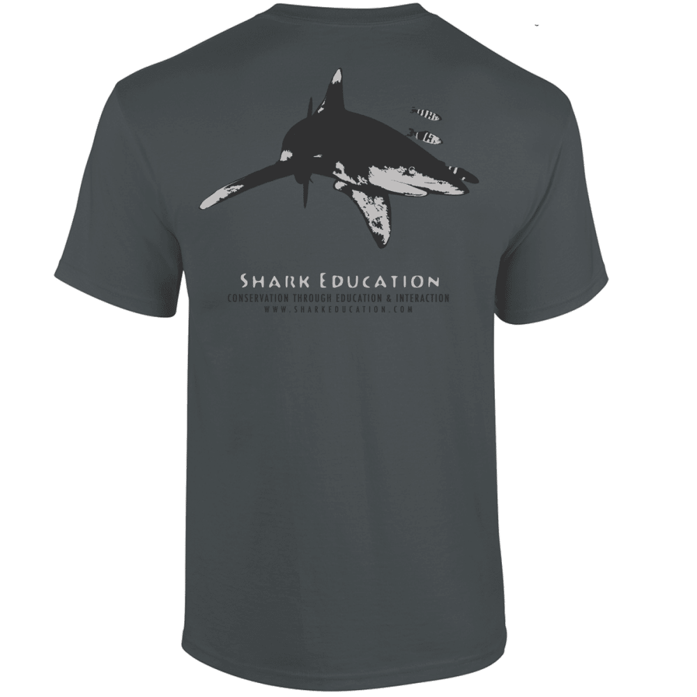 boutique tee-shirt gris