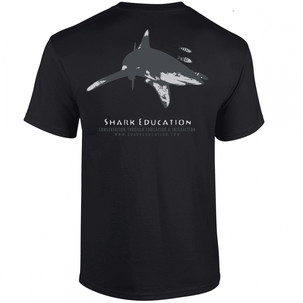 boutique tee-shirt noir gris