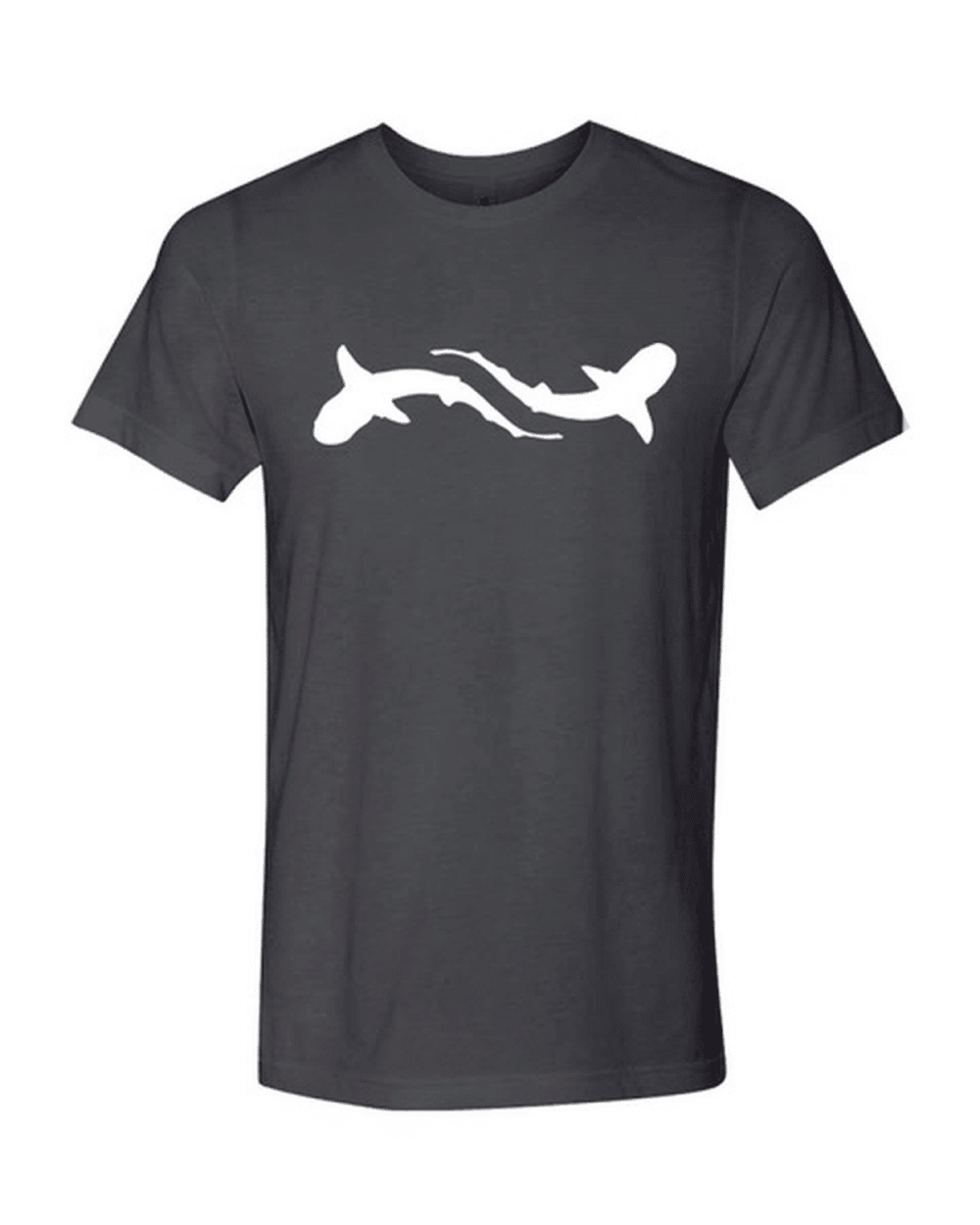 boutique shark education asphalt