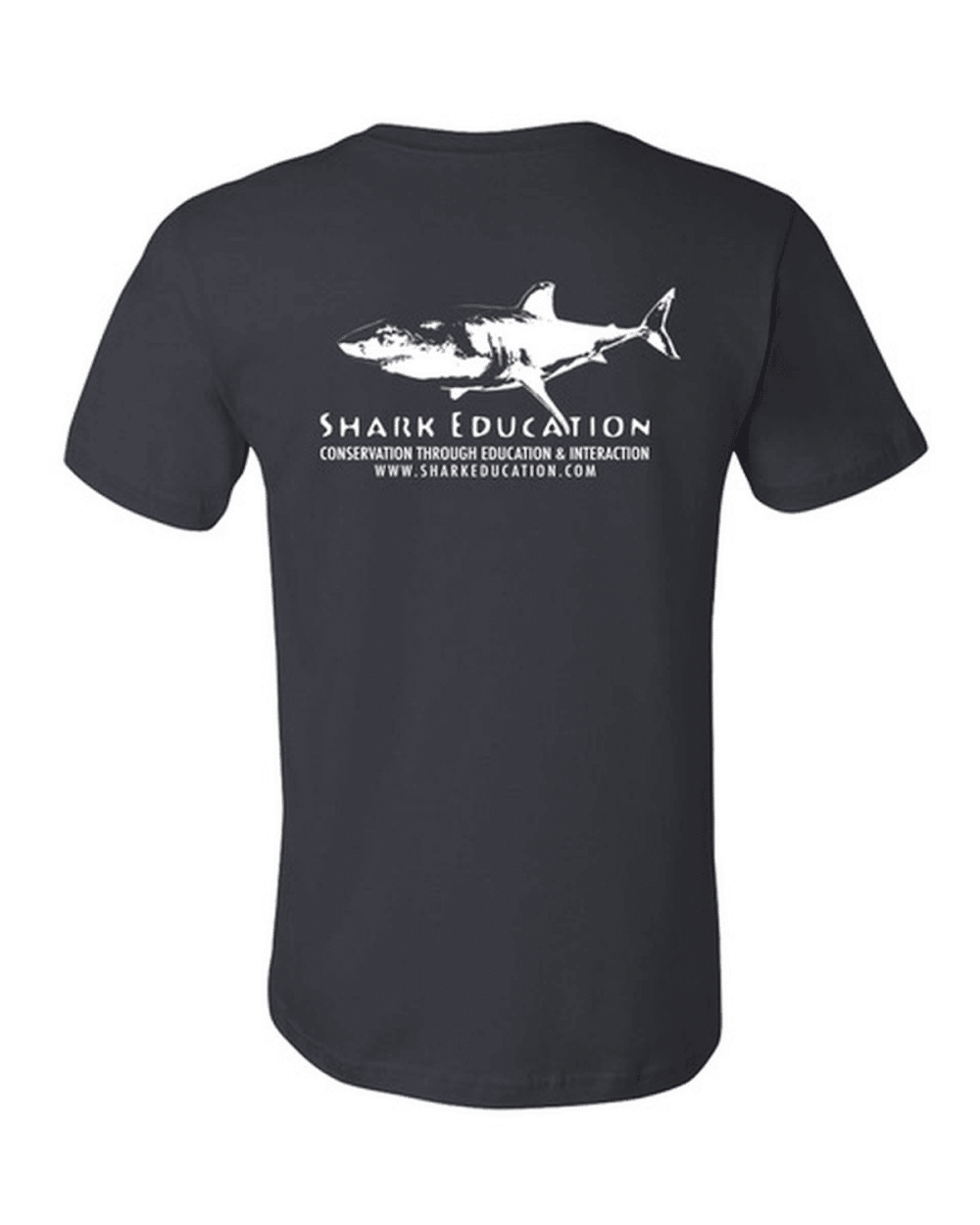 boutique tee-shirt shark education