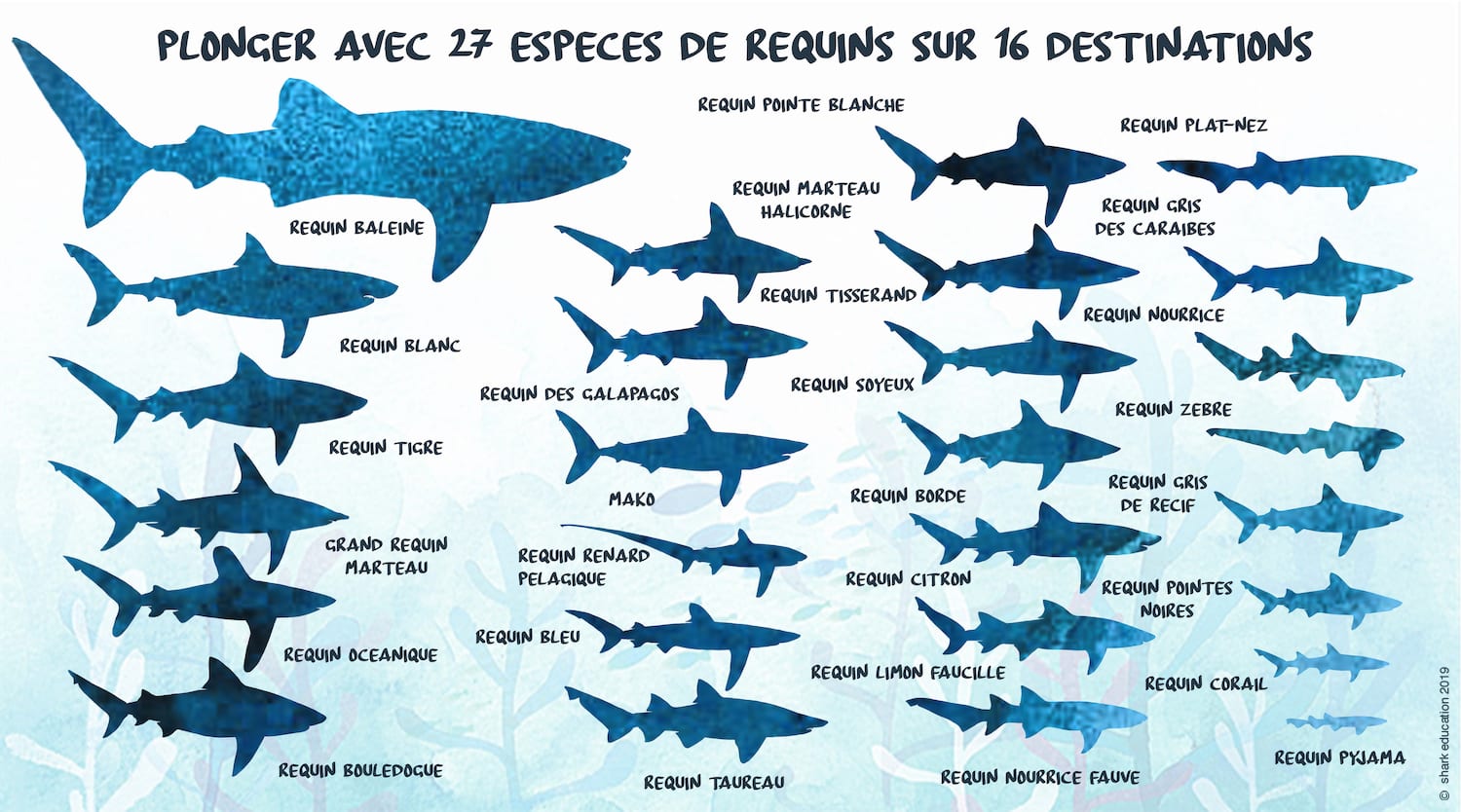 1-Concept2_A propos